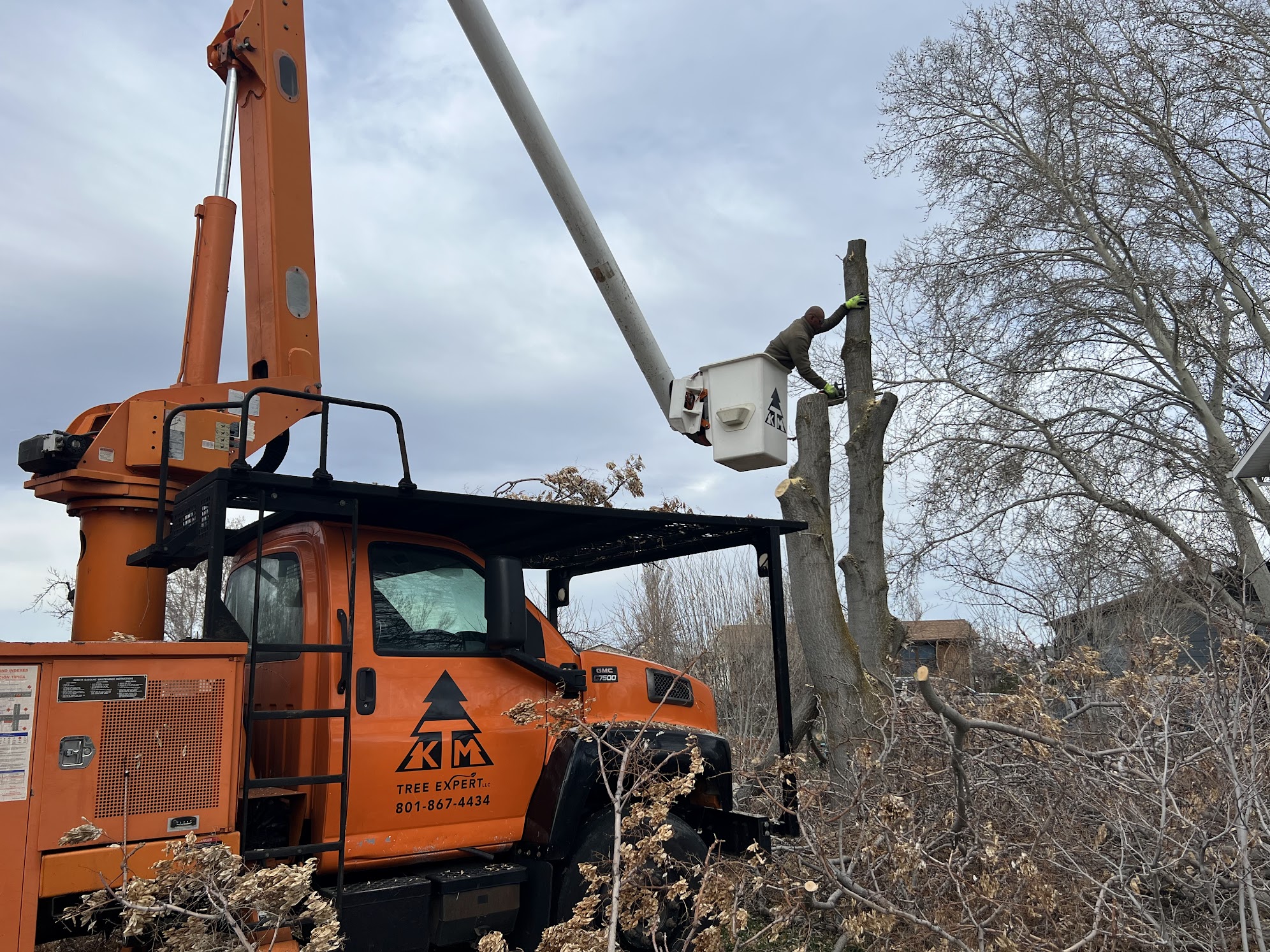 Tree Removal Experts Crane Truck