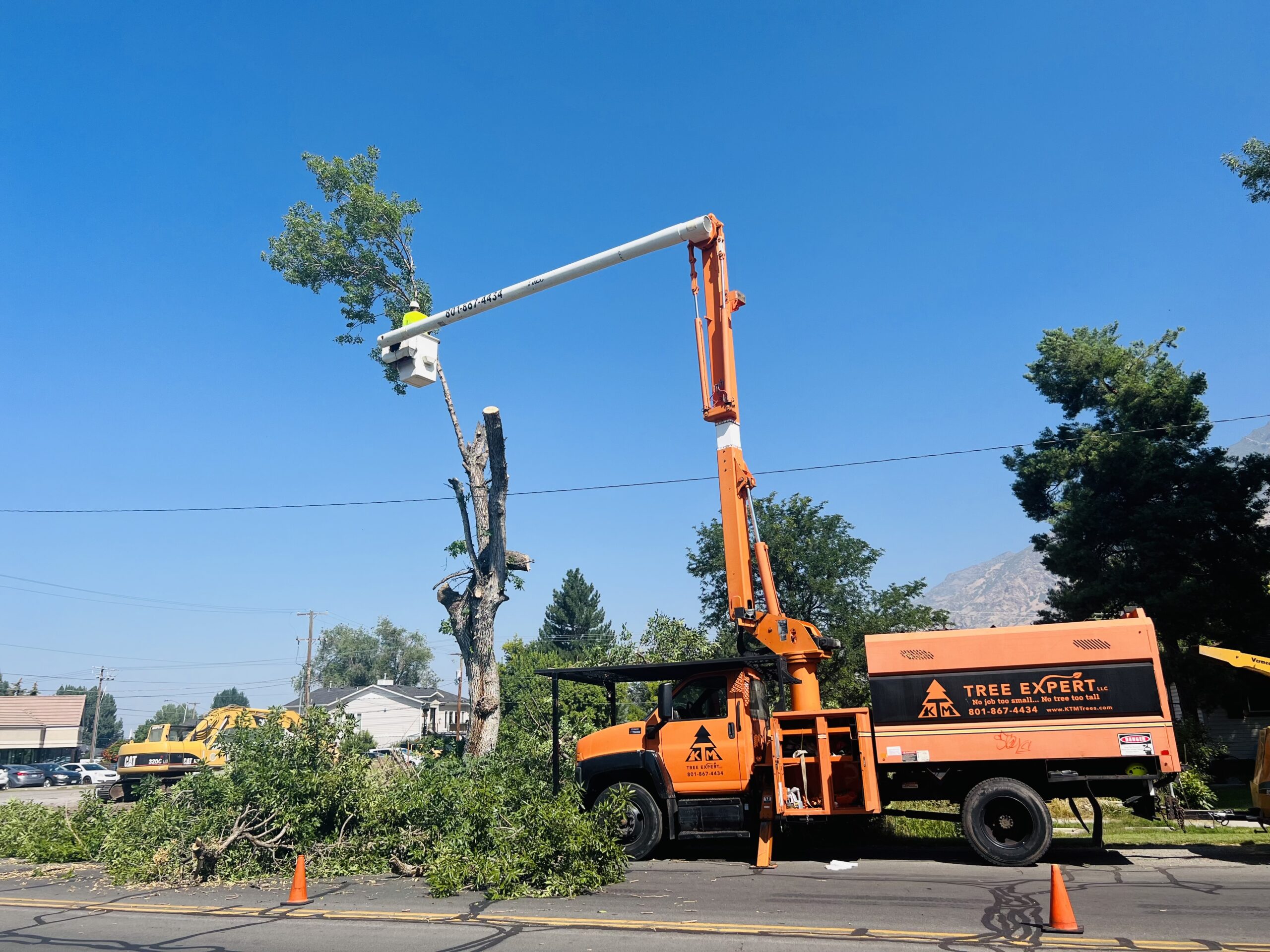 Read more about the article The Most Common Tree Services in Utah County: What KTM Trees Offers