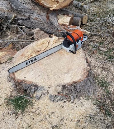 Stump removal services in Utah County